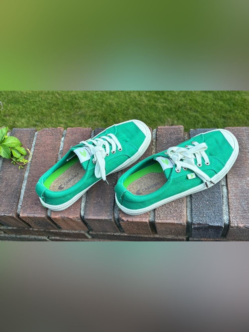 CARIUMA OCA Low Women’s Size 7 Green Canvas Lace-Up Sneakers